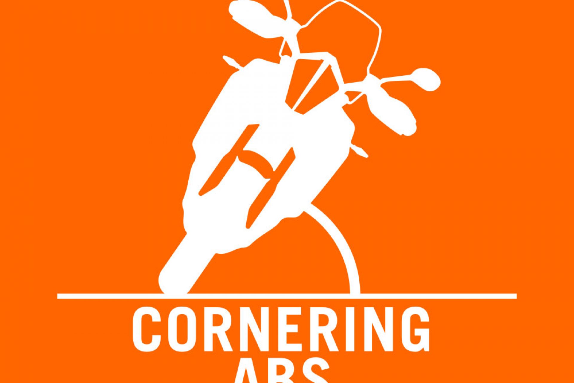 Cornering ABS